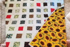 Claire's Fabric Gems